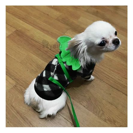 Arnes Regulable para Pet con Alitas Pequeñas Color Verde