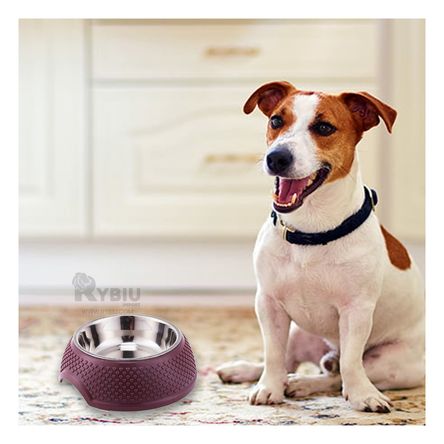 Plato Desmontable para Perro en Tono Purpura Y+Stickers
