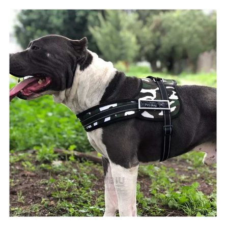 Arnes Equipado con Hebilla Segura en Verde Claro Y+Stickers