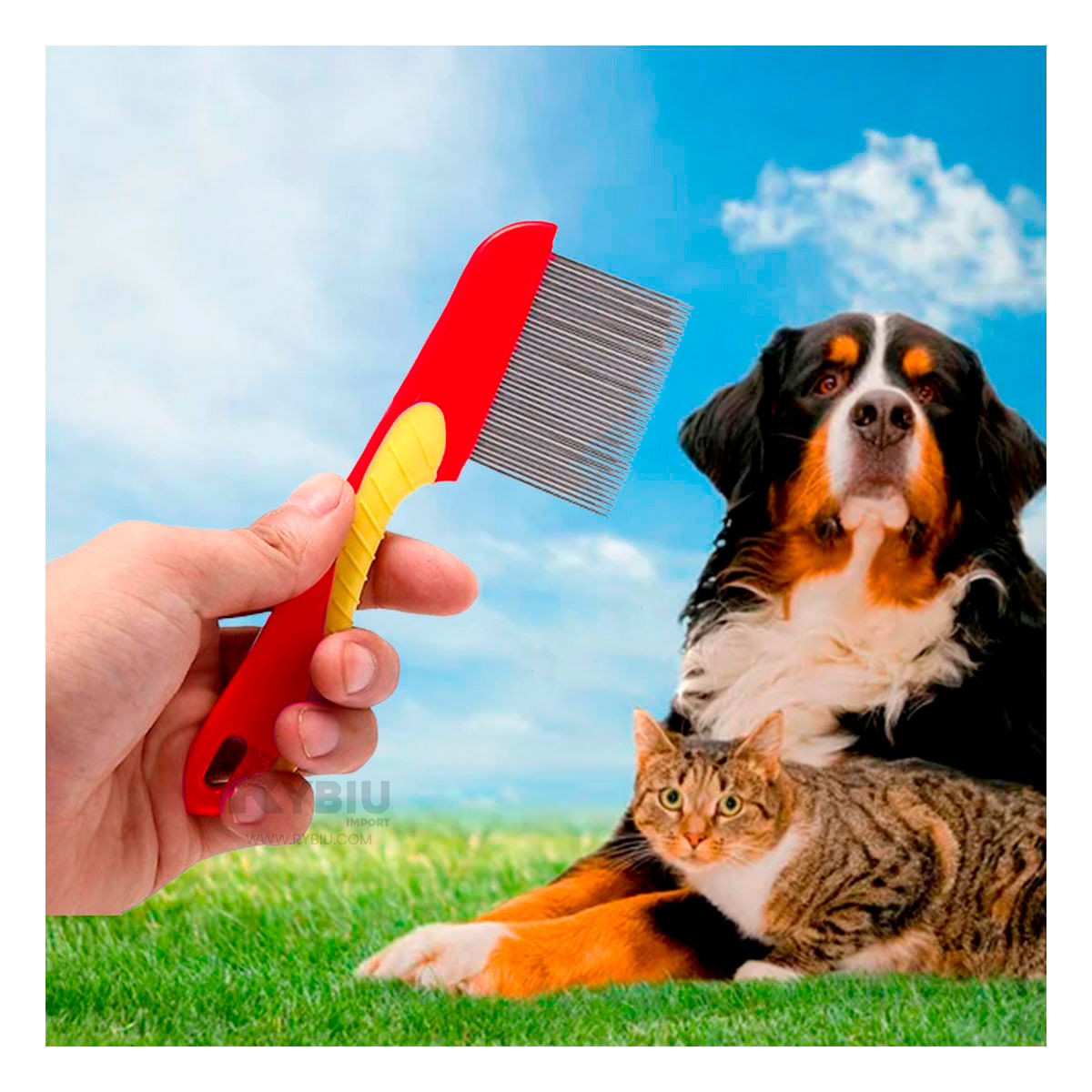 Peine de Mascota de Acero en Color Rojo Y+Papel de Regalo
