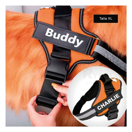 Arnes de Hebilla Segura de Color Anaranjado Y+Agendita