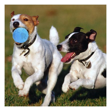 Pelota de Entretenimiento en Color Celeste Y+Stickers