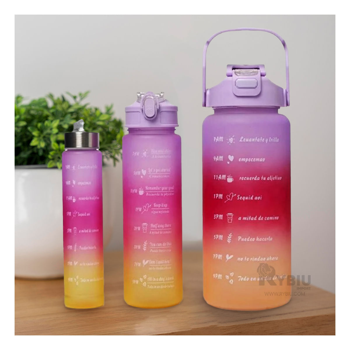 Trio Funcional de Tomatodos en Tapa Morado Y+Papel de Regalo