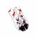imageUrl_2