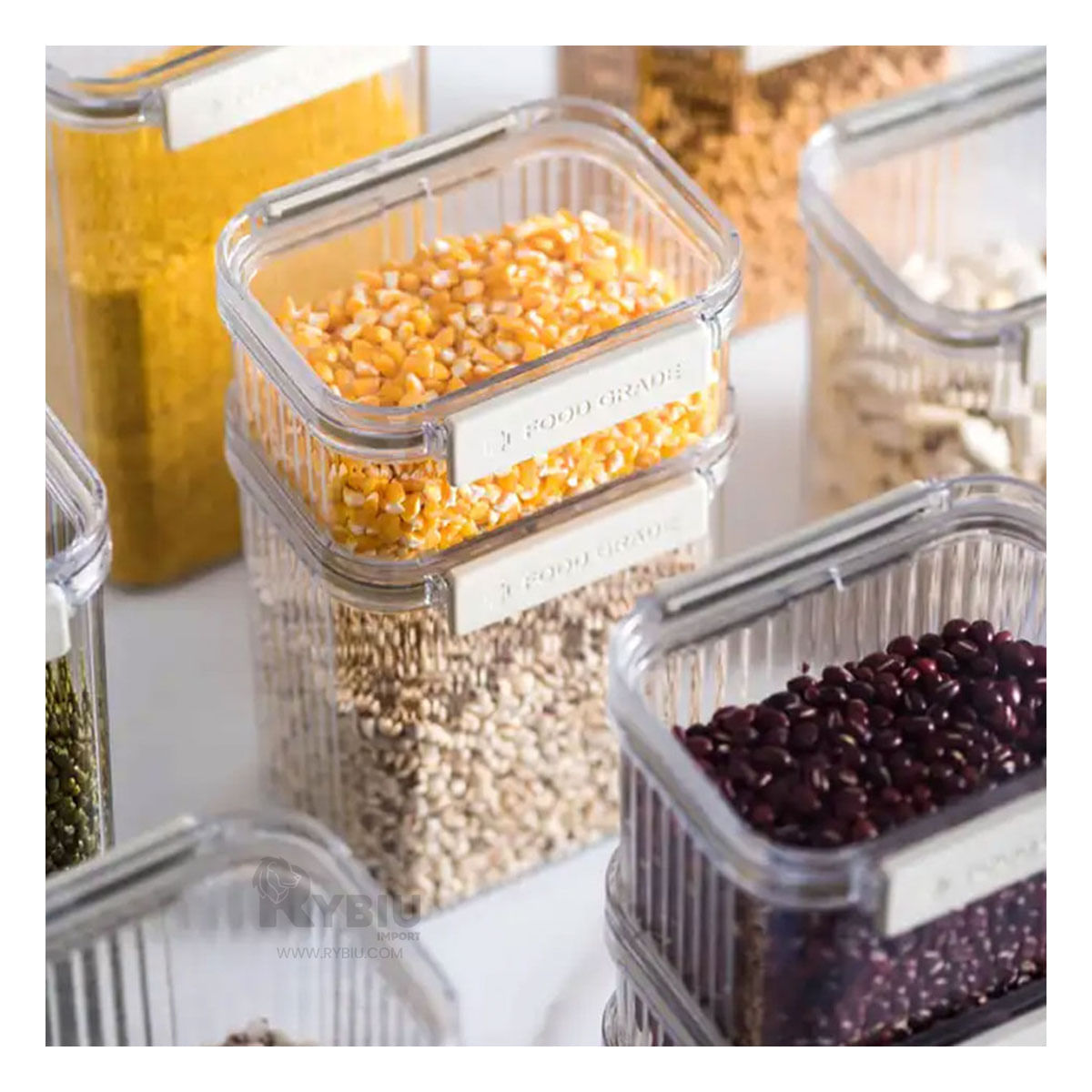 Contenedores en Set de 5 Transparente Y+Papel de Regalo