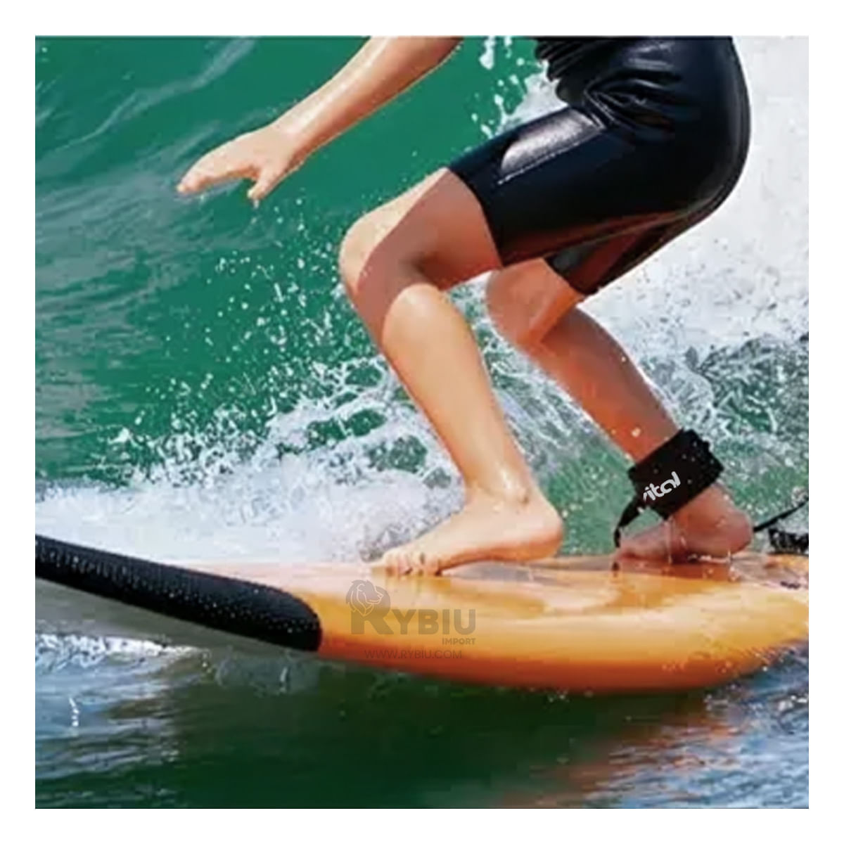 Correa de Agarre para Nadar en Color Negro Y+Papel de Regalo