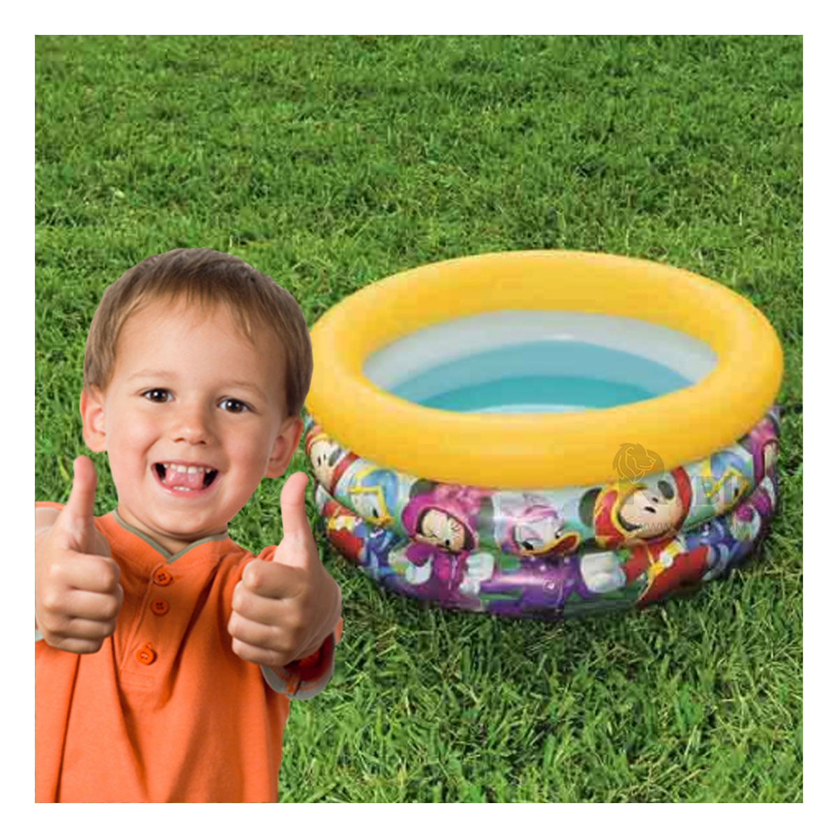 Piscina Inflable Acuario en Multicolor Y+Agendita