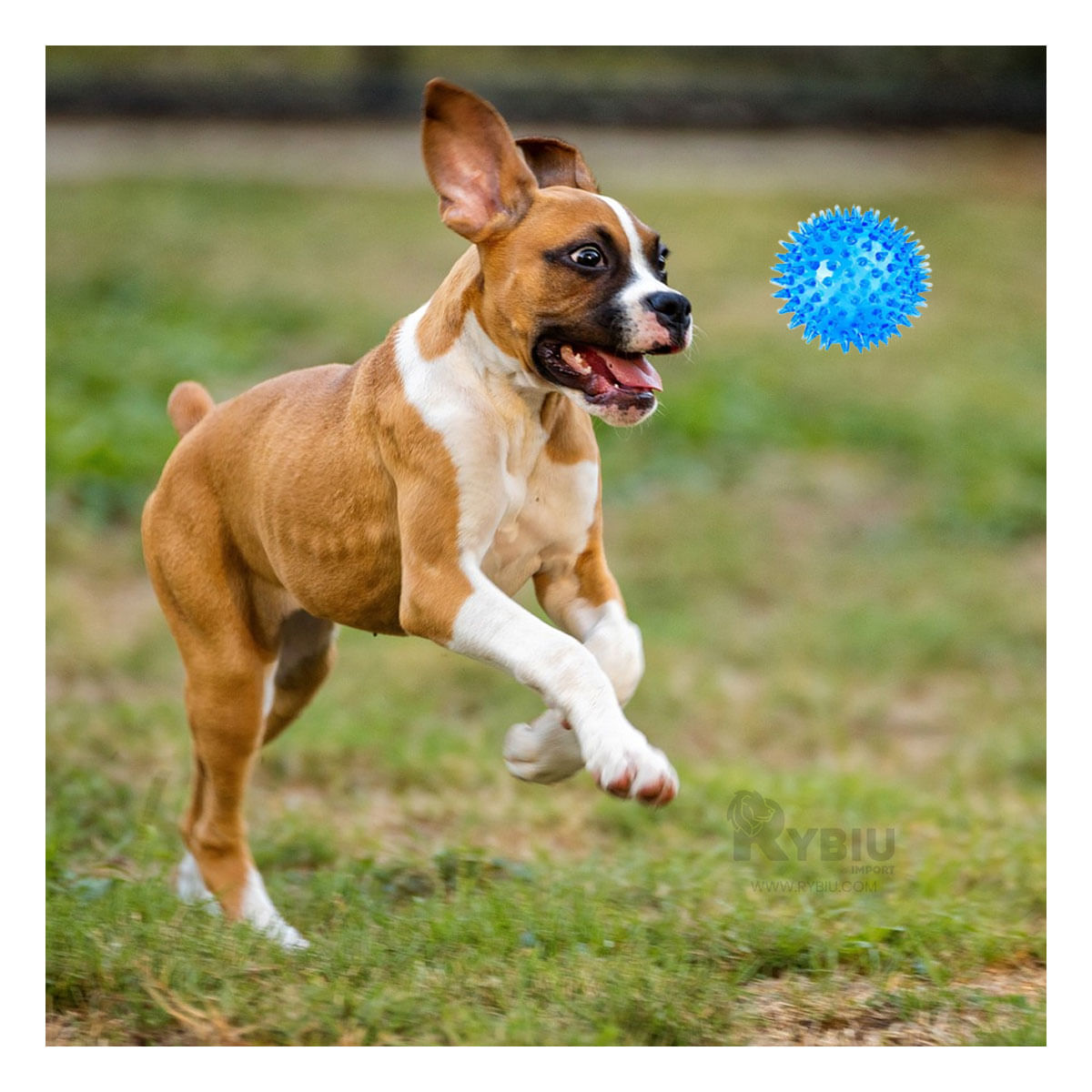 Set de Juego No Toxico Canino en Celeste Y+Agendita