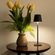 imageUrl_4
