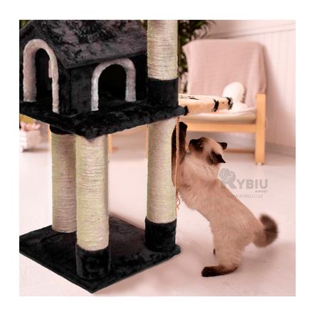 Gym Didactico Felino en Negro Y+Agendita