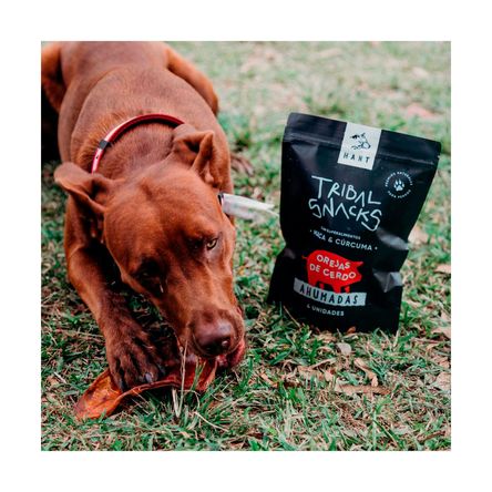 Ahumadas Snacks Orejas de Cerdo Ahumadas Snacks Orejas de Cerdo