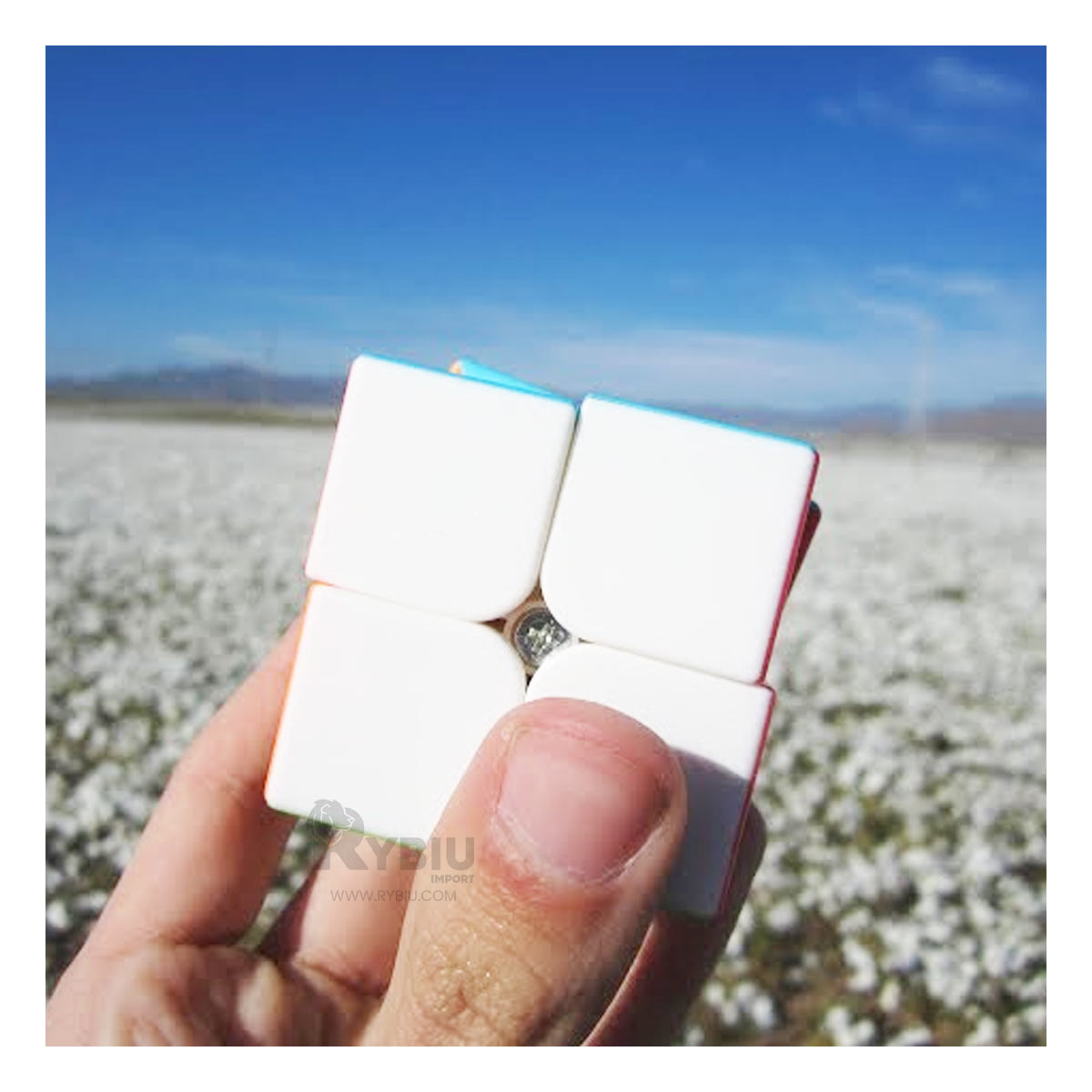 Cubo Magico Cuadrado 2x2 en Multicolor