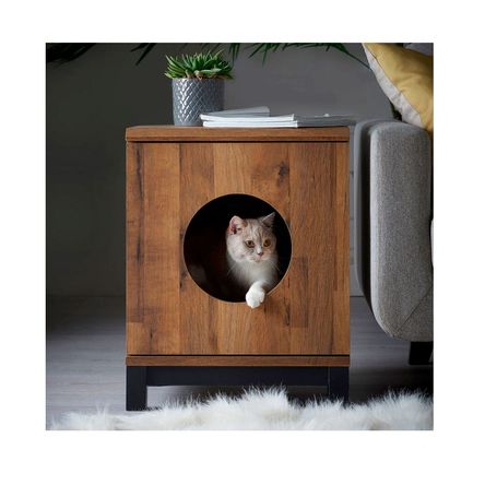 imageUrl_1 imageUrl_1