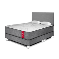Dormitorio Paraíso Lifestyles Pocket Queen Plata