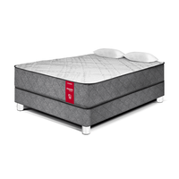 Cama Paraíso Lifestyles Pocket 2 Plazas Plata