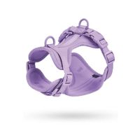 Pechera Para Perros Nailon Ajustable Lila - Talla M