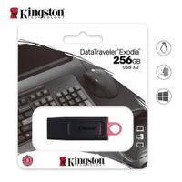 Memoria USB Kingston DTX 256 GB