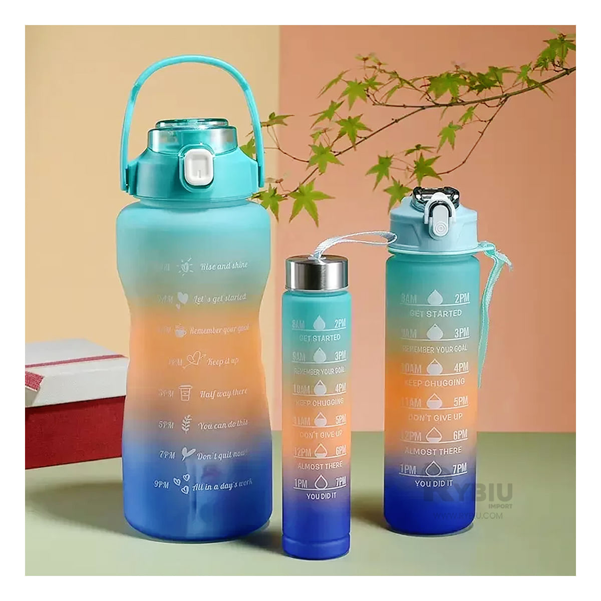 Trio de Tomatodos para Hidratacion con Tapa Celeste