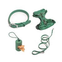 Pack Arnés + Collar + Correa + Dispensador Verde - Talla M