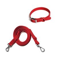Correa y Collar PVC Impermeable Para Perros Rojo - Talla M