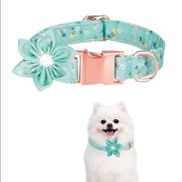 Collar Floral Para Mascotas Verde Claro - Talla M