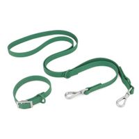 Correa y Collar PVC Impermeable Para Perros Verde - Talla S