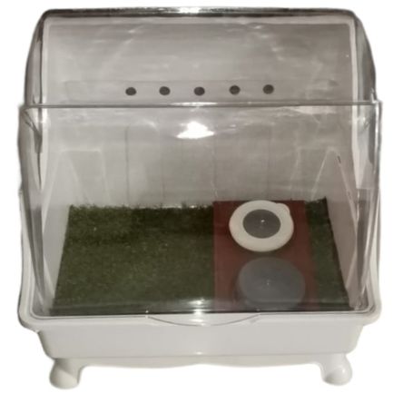 image-ff180d5d941e4f84907942f1cc91edc5 image-ff180d5d941e4f84907942f1cc91edc5