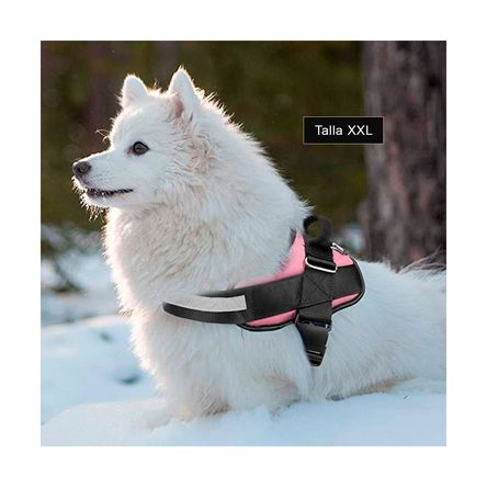 Pechera de Seguridad para Can en Rosado XXL Y+Stickers