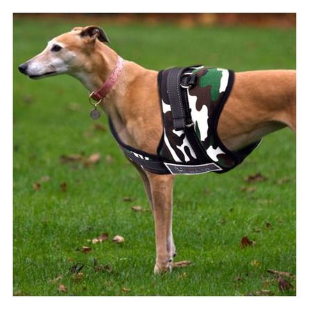 Arnes con Sujecion Solida en Ejercito Claro Y+Stickers Arnes con Sujecion Solida en Ejercito Claro Y+Stickers