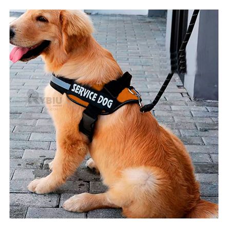 Arnes Ajustable y Adaptable de Anaranjado Y+Stickers Arnes Ajustable y Adaptable de Anaranjado Y+Stickers