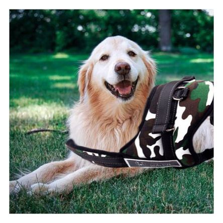 Arnes Compacto y Moderno en Ejercito Claro Y+Papel de Regalo Arnes Compacto y Moderno en Ejercito Claro Y+Papel de Regalo