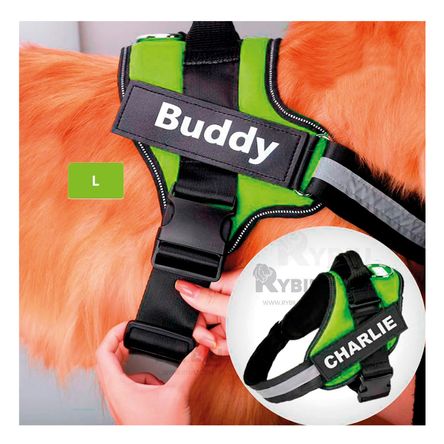 Arnes con Ajuste Perfecto de Color Verde Y+Stickers