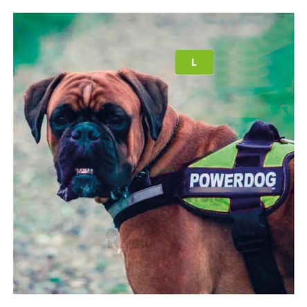 Arnes de Facil Colocacion de Color Verde Y+Agendita Arnes de Facil Colocacion de Color Verde Y+Agendita