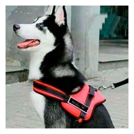 Arnes de Facil Uso Moderno de Color Rojo Y+Agendita