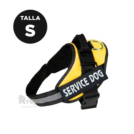 Arnes Funcional con Seguridad en Color Amarillo Y+Stickers