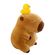 imageUrl_1