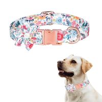 Collar Floral Para Mascotas Celeste Blanco - Talla S