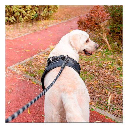 Arnes Moderno e Innovador de Color Negro Y+Papel de Regalo