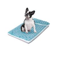 Cama Colchón Para Perros Funda Extraíble Celeste - Talla M