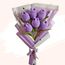 imageUrl_1