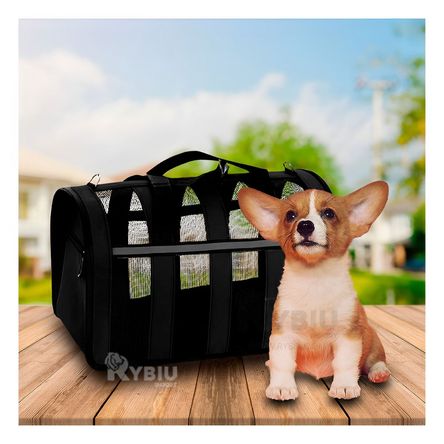 Transportador Resistente de Negro Y+Stickers