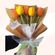 imageUrl_1