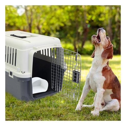 Transportador Rigido en Plomo Oscuro Y+Papel de Regalo Transportador Rigido en Plomo Oscuro Y+Papel de Regalo