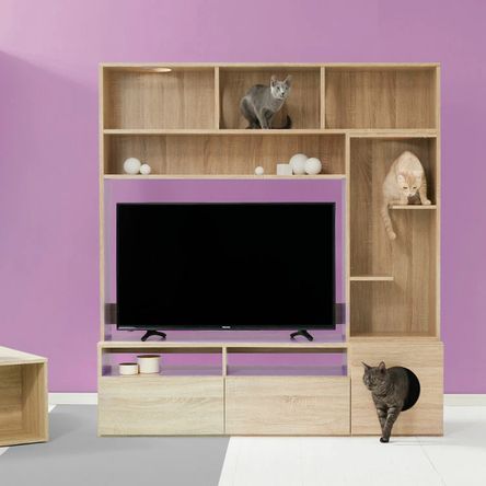 image-75ebeb683d1a459fbe24e8ca610b85fc image-75ebeb683d1a459fbe24e8ca610b85fc