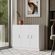 imageUrl_2