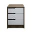 imageUrl_1