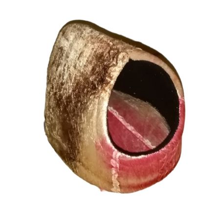 image-68086854a0df41c9a5b16721b5160bdd image-68086854a0df41c9a5b16721b5160bdd