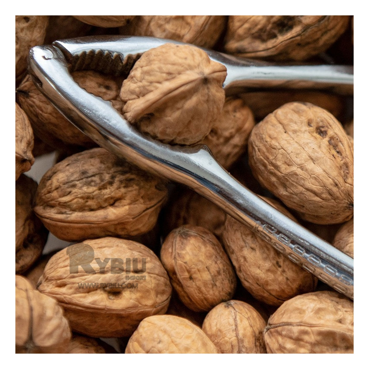 Pinza Abre Nueces Duradero en Color Gris Y+Agendita