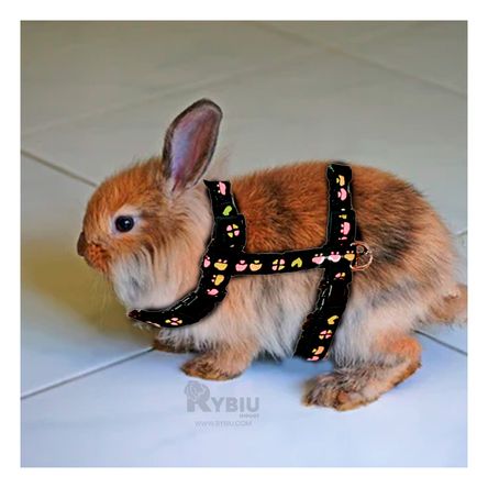 Arnes de Paseo para Felinos en Color Negro Y+Stickers Arnes de Paseo para Felinos en Color Negro Y+Stickers