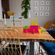 imageUrl_5